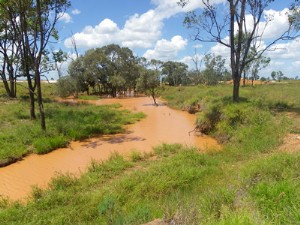 carborough creek