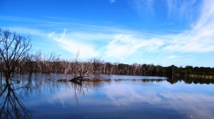 hydrology from cover